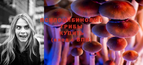 марки lsd Каменка