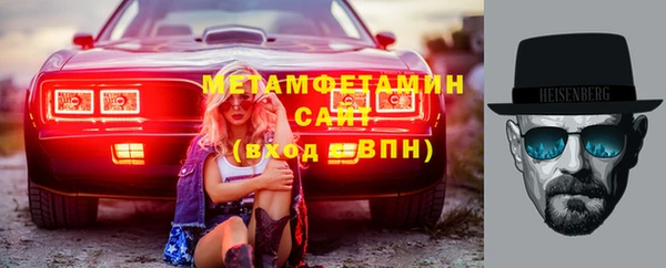 шишки Каменногорск