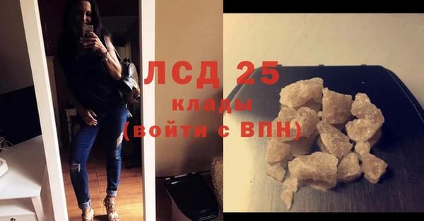 шишки Каменногорск