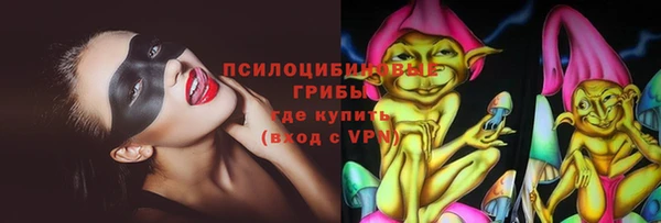 марки lsd Каменка