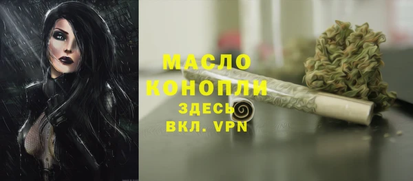 шишки Каменногорск