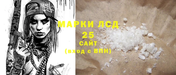 шишки Каменногорск