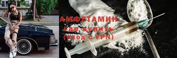 шишки Каменногорск