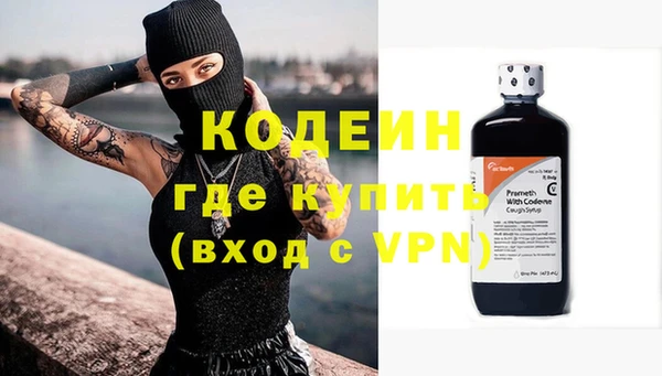 шишки Каменногорск