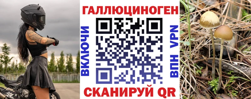 Псилоцибиновые грибы Cubensis  Купить  Сухой Лог 